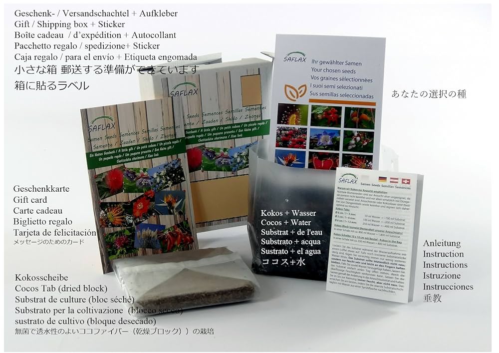 Lebanon Cedar Seeds - Cedrus Libani - 25 Seeds - Evergreen, Tree