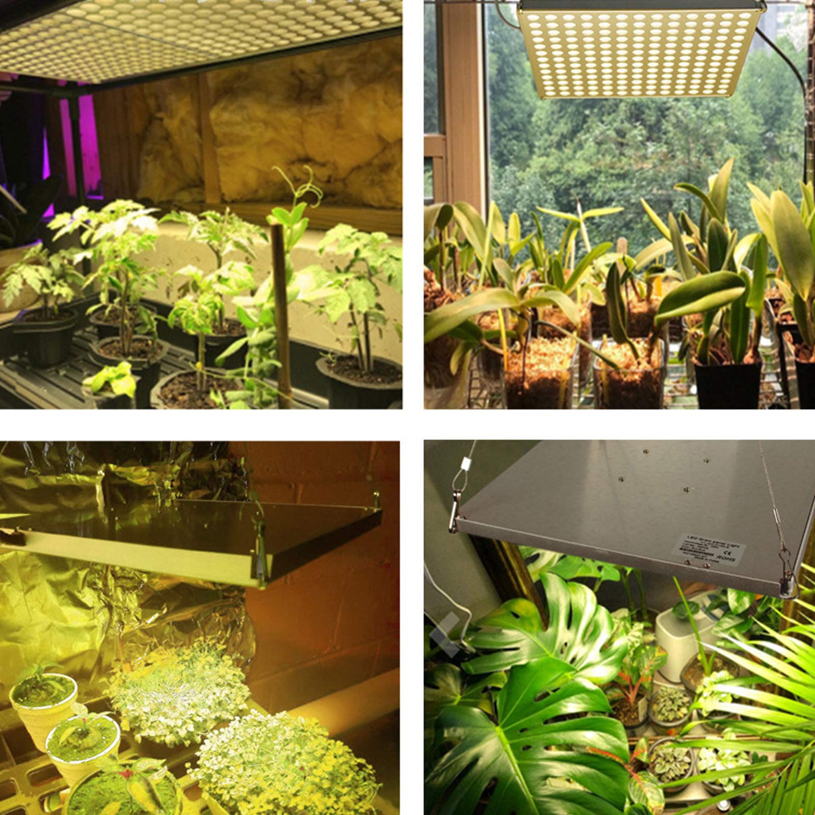 Luce LED per coltivazione di piante da 1000 W, luce per crescita di piante a spettro completo, utilizzata per piante da interno, verdure e fiori Luce per crescita in serra (169 LED Potenza effettiva