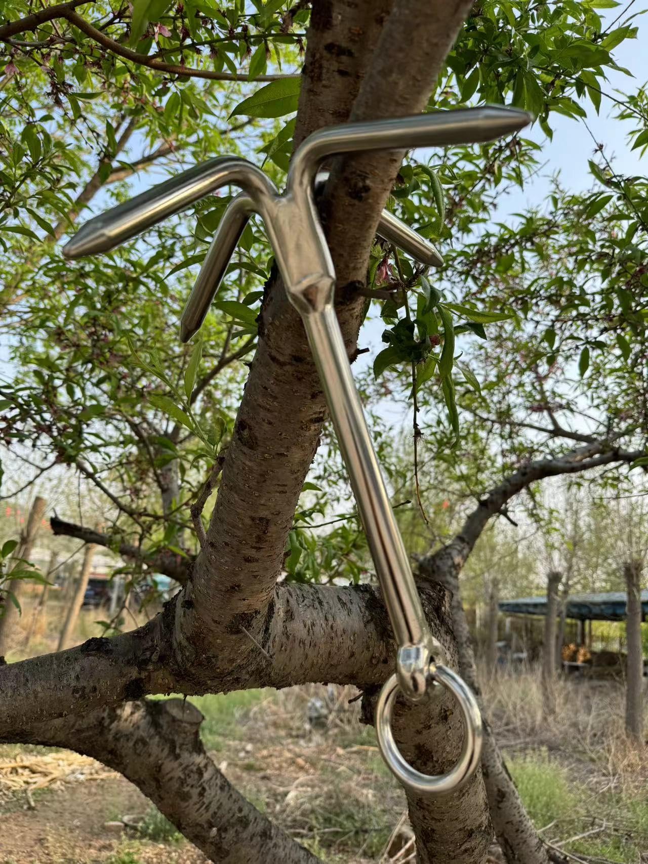 clamps to hook trees for anchors fishing Amazon.com : JY-MARINE 14.5