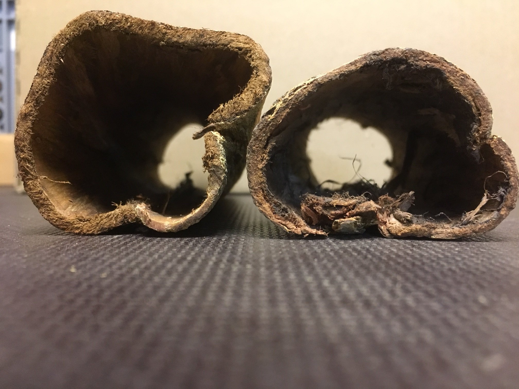 2 grandes cuevas de la arma milagrosa árbol de almendro indio para conocedores (Ø ~ 3 – 4 cm, longitud 15 – 20 cm, más de 100 g) decoración para acuario, purificador de agua, tubos Catappa Bark