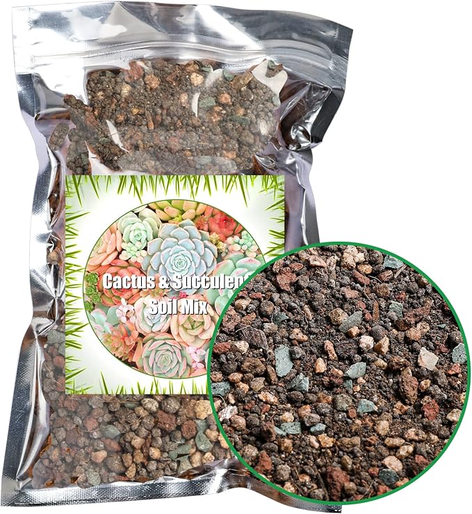 Amazon.com : Doter Succulent and Cactus Soil Potting Mix 1.1 LBS ...