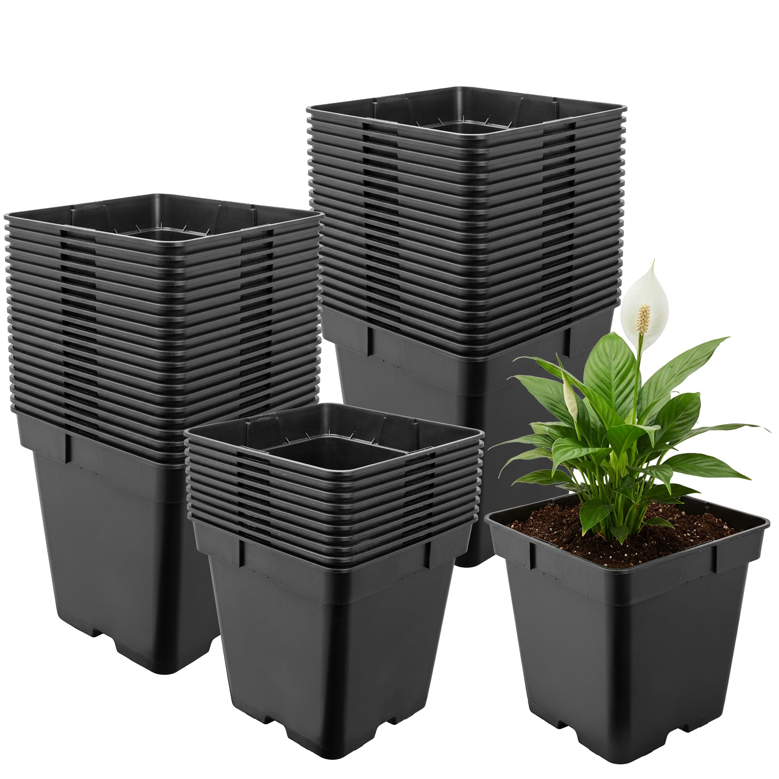 Garronda Pot de Fleur Carré en Plastique 18 × H 18 cm (4L) Lot 50 Godets Semis Pots de Pépinière avec Drainage Résistants Intempéries pour Culture Plantes Jardin Serre Intérieur Extérieur GD-0199