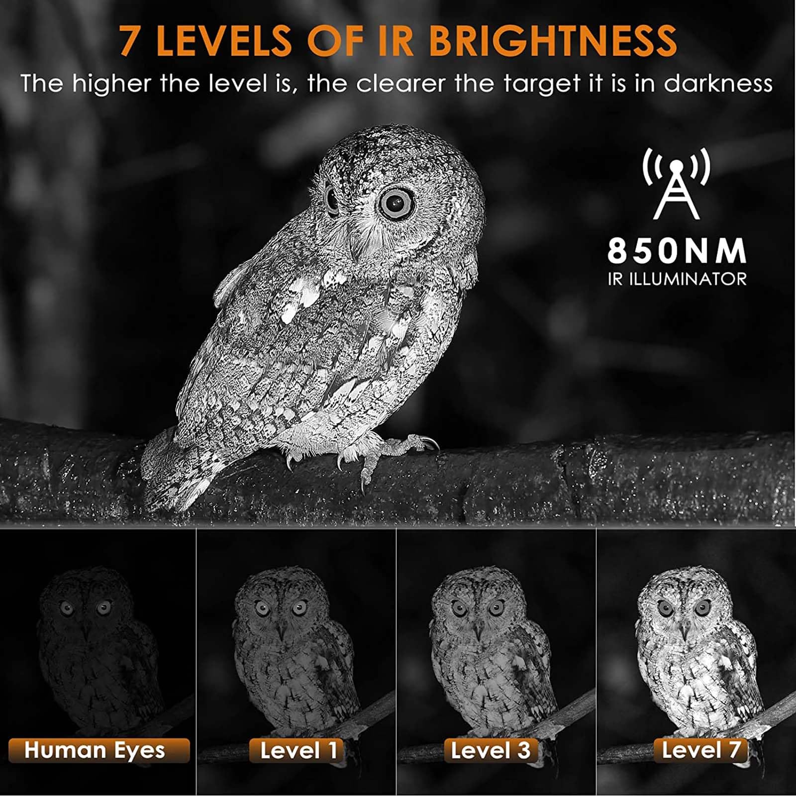 Jumelles de Vision Nocturne, Zoom numérique 4K/8x, Lunettes de Vision Nocturne Infrarouge de 300 m, Jumelles Grand écran