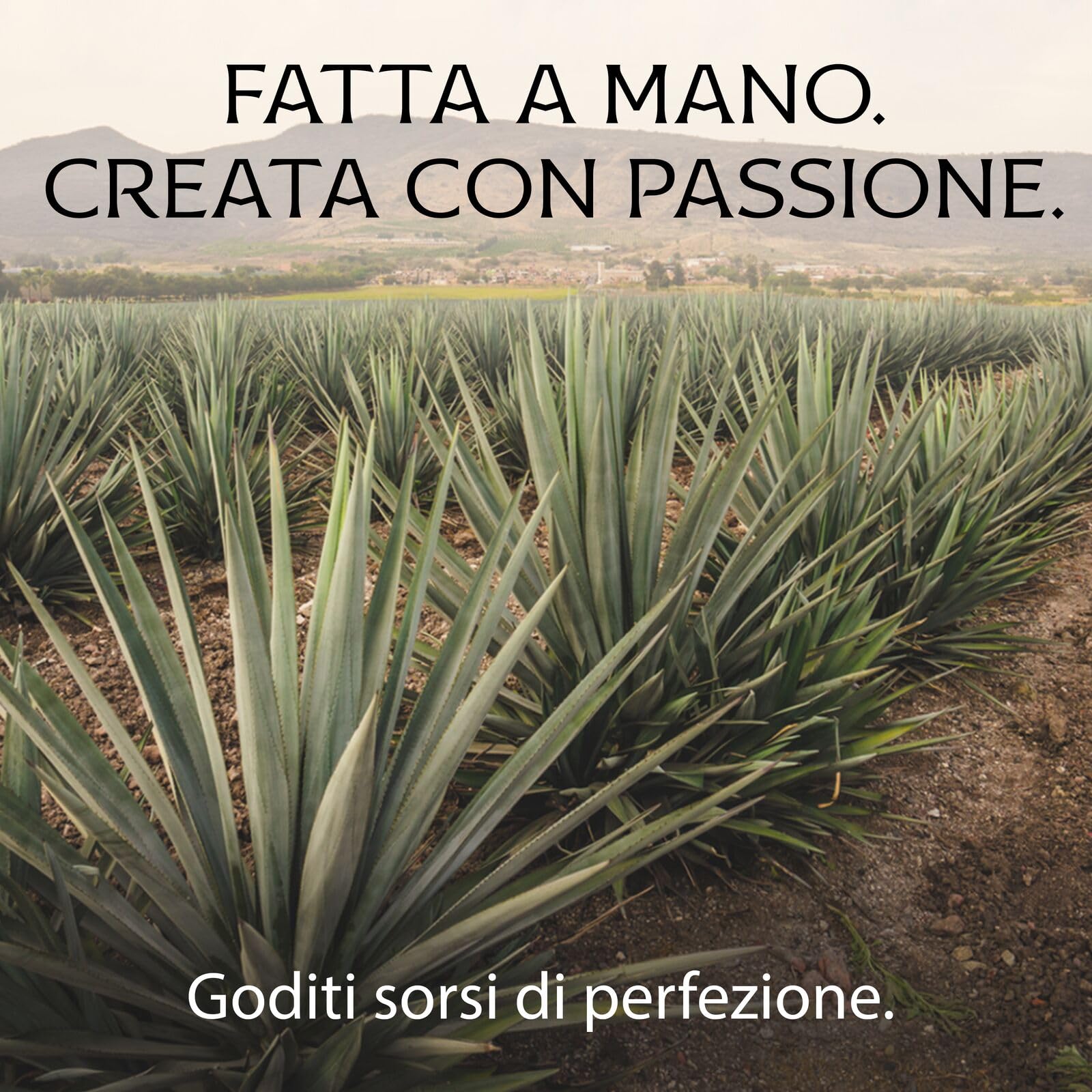 PATRÓN EL ALTO Pregiata Tequila Reposado, 40% vol., 1750 ml / 1,75 L, Realizzata a Mano in Piccoli Lotti dal 100% di Agave Blue Weber a Jalisco, Messico