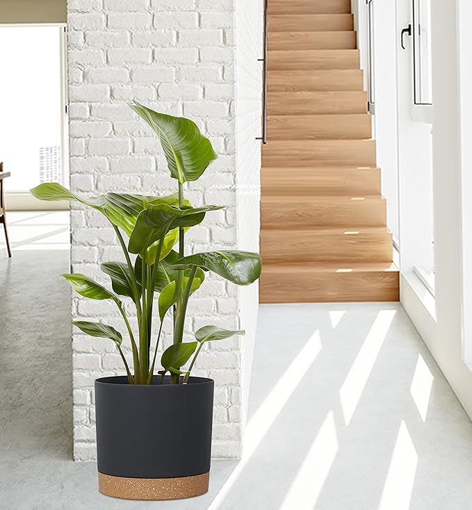 Add a touch of modern elegance to your home or office with these stylish and functional plant pots. The white and green color options and minimalist design make them a perfect match for any indoor space, while the easy cleanup and proper drainage ensure that your plants stay healthy and happy. Whether you're looking to bring some greenery into your living room, kitchen, or office, these versatile plant pots are the perfect choice for adding a pop of nature to any room in your home. Description by ChatGPT.