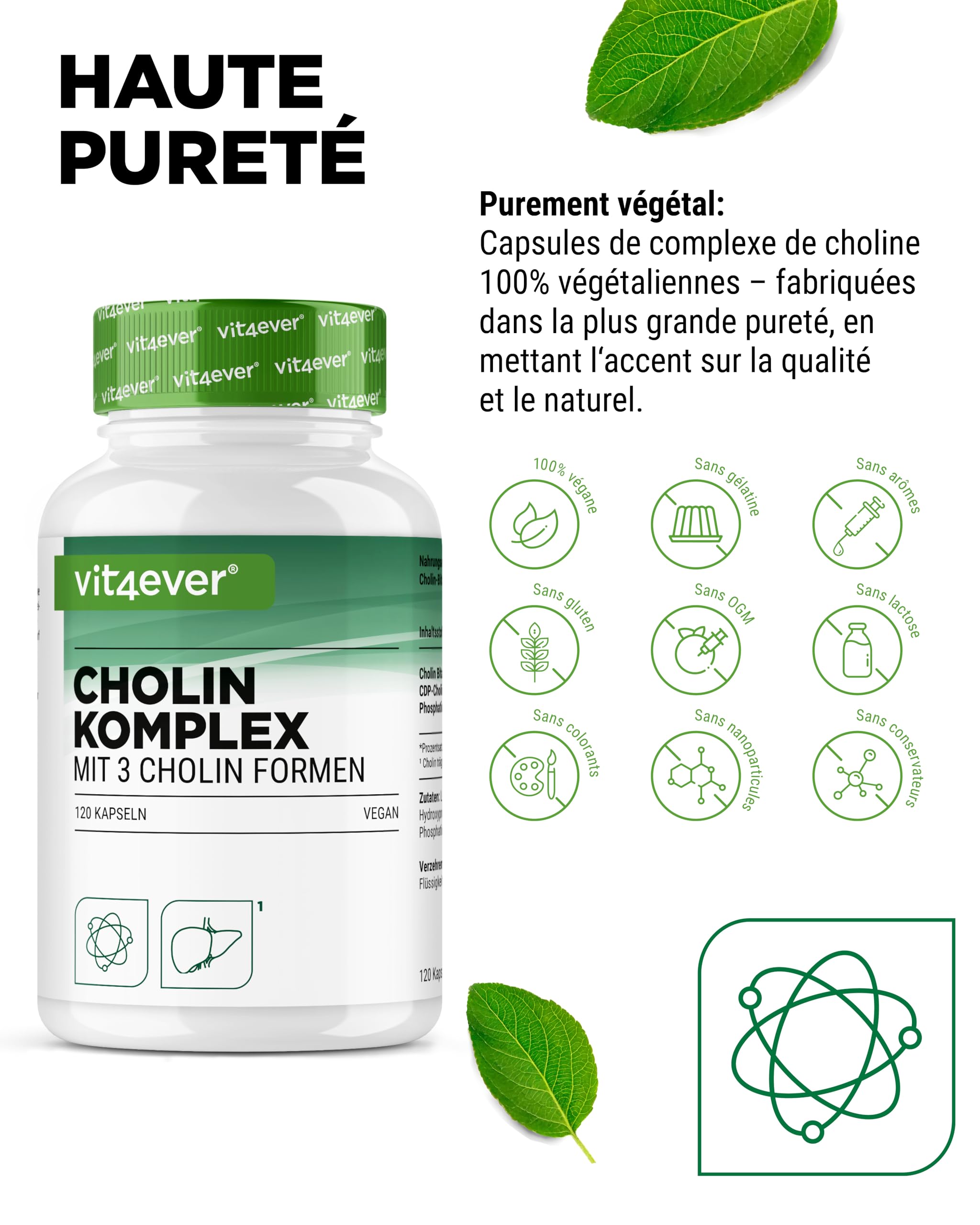 vit4ever Complexe de Choline avec 3 Formes de Choline - 120 Gélules - Bitartrate, Citicoline & Phosphatidylcholine en Combinaison Synergique - Sans Additif - Vegan