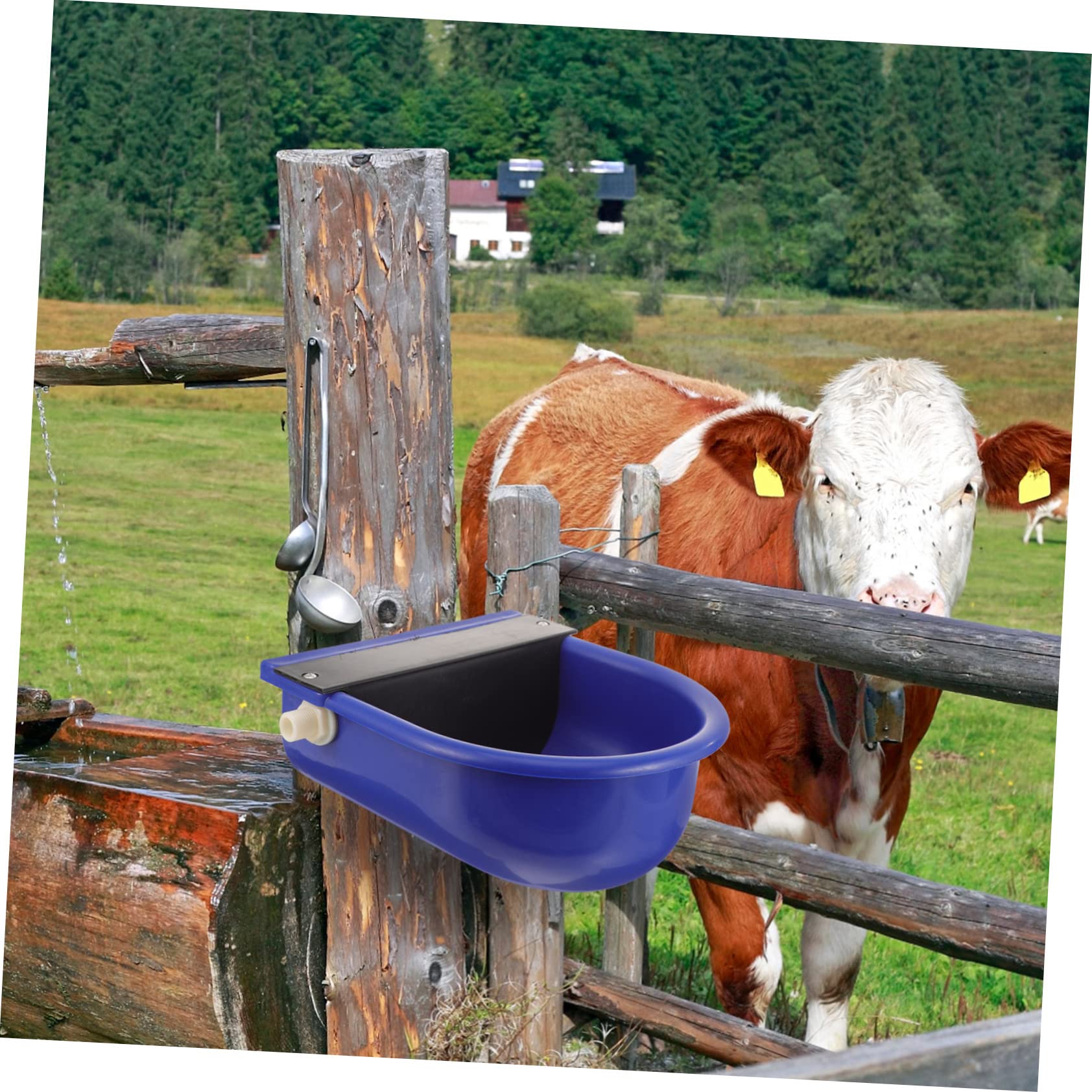 Didiseaon Bebedero Automático de Plástico Azul para Ganado y Caballos sin Óxido y Duradero Nivel Constante de Agua Color Aleatorio para Uso en Granjas