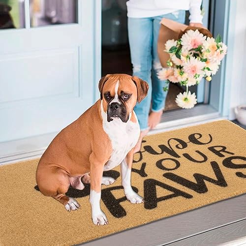 Miniatura 6 de Wipe Your Paws - Felpudo de bienvenida para interiores y exteriores, tapete antideslizante de fibra de coco para los amantes de los perros, nuevo