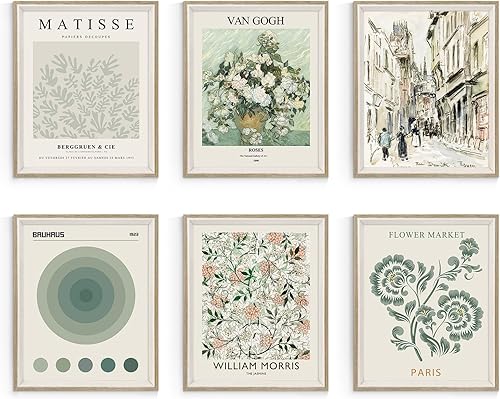 Habseligkeit Impresiones artísticas de pared verde salvia, póster abstracto de arte de pared de Matisse, impresiones artísticas vintage, decoración