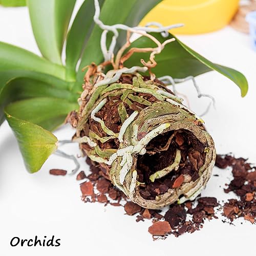 Miniatura 5 de Perlita de grado hortícola, una bolsa de 8 cuartos de galón 2 libras (partículas de 18 pulgadas), aditivo para enmienda del suelo, para