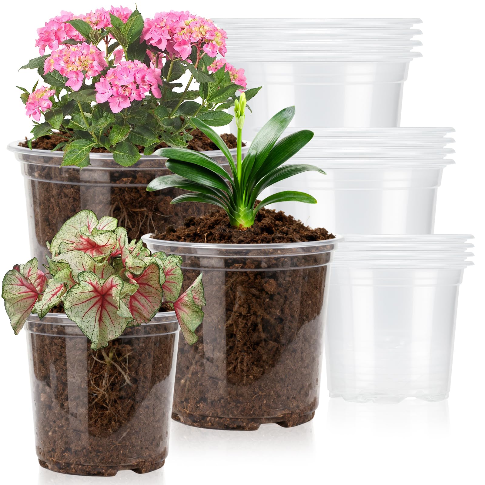 Plgardpo Clear Nursery Pots 15 Pack