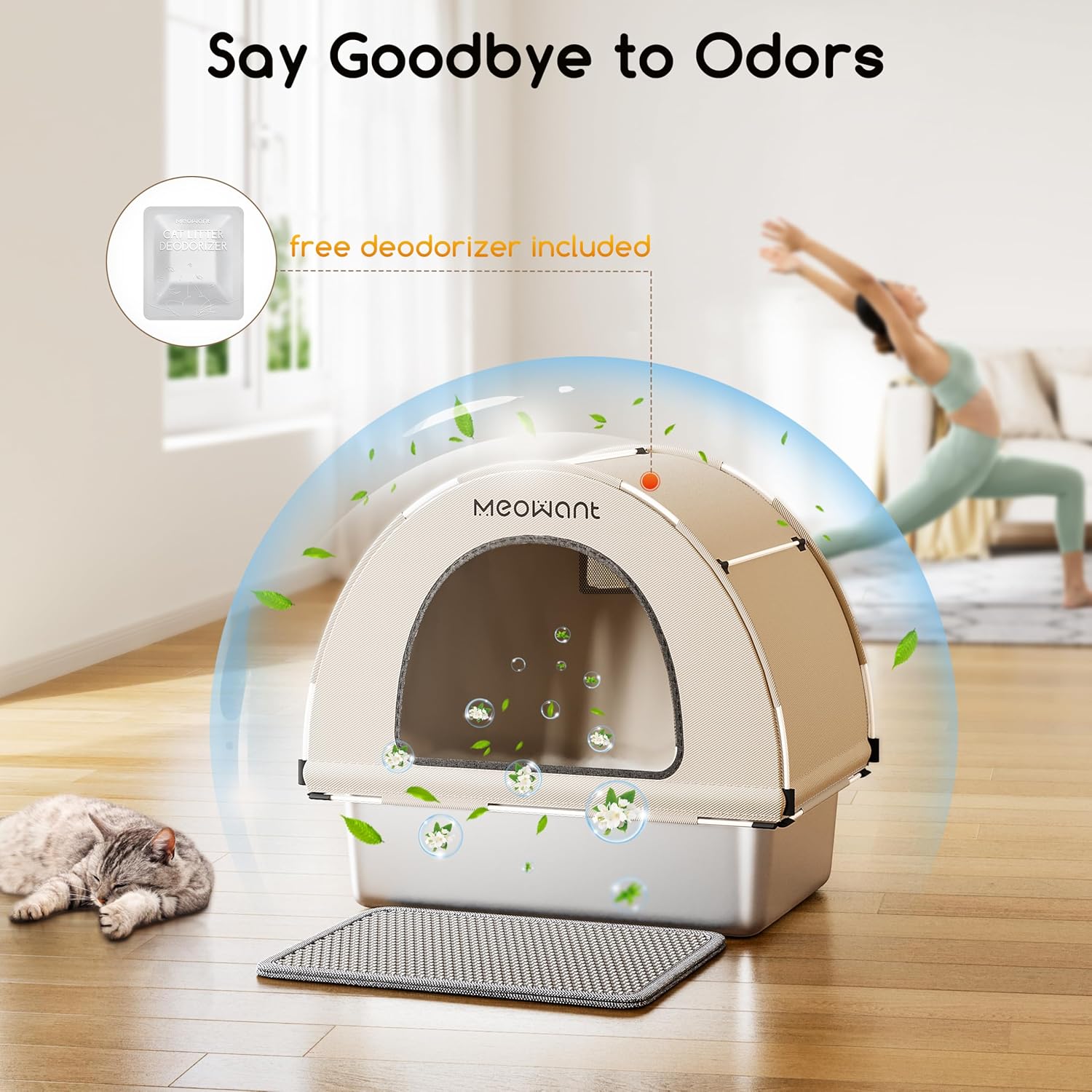 https://m.media-amazon.com/images/I/81hdQHEXpFL._AC_SL1500_.jpg