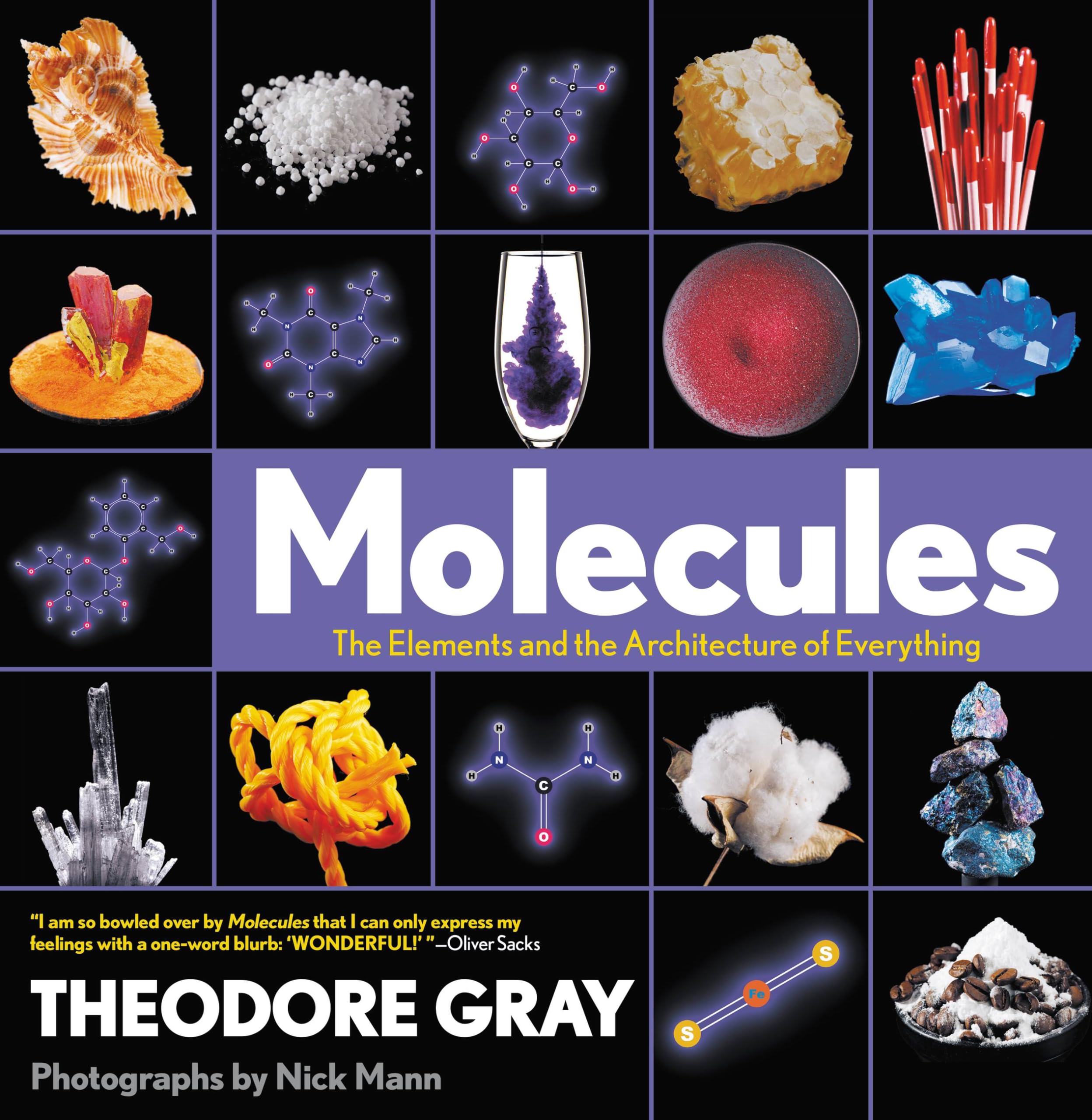 Molecules: The Elements And The Architecture Of Everything Theodore Gray Book PB