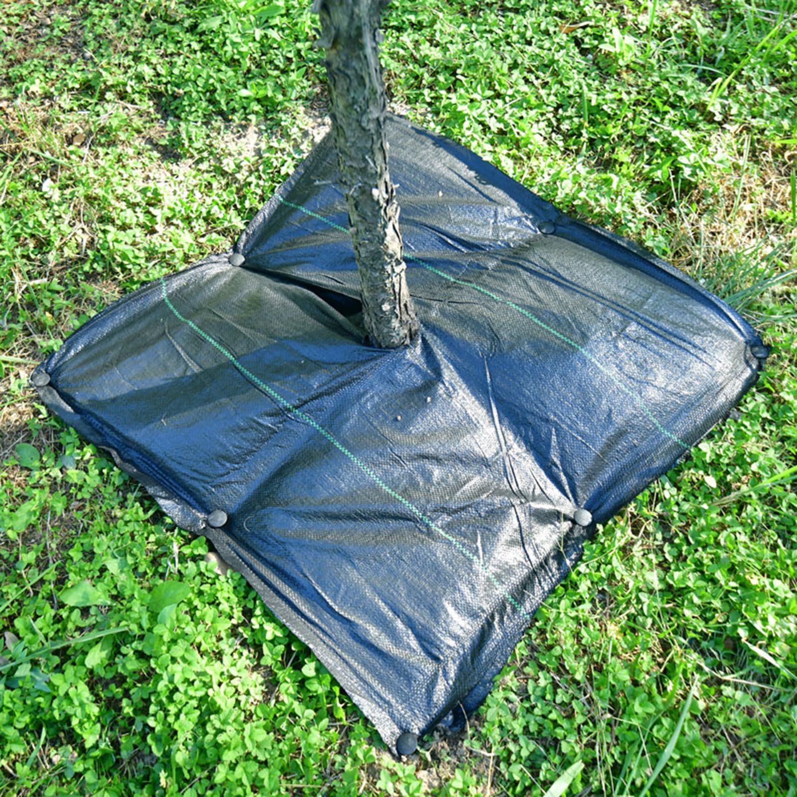 Tessuto Anti-erbacce Per Giardino 9x30 M, In Polipropilene, Resistente, Permeabile, Controllo Infestanti, Barriera Per Aiuole E Vialetti - 2