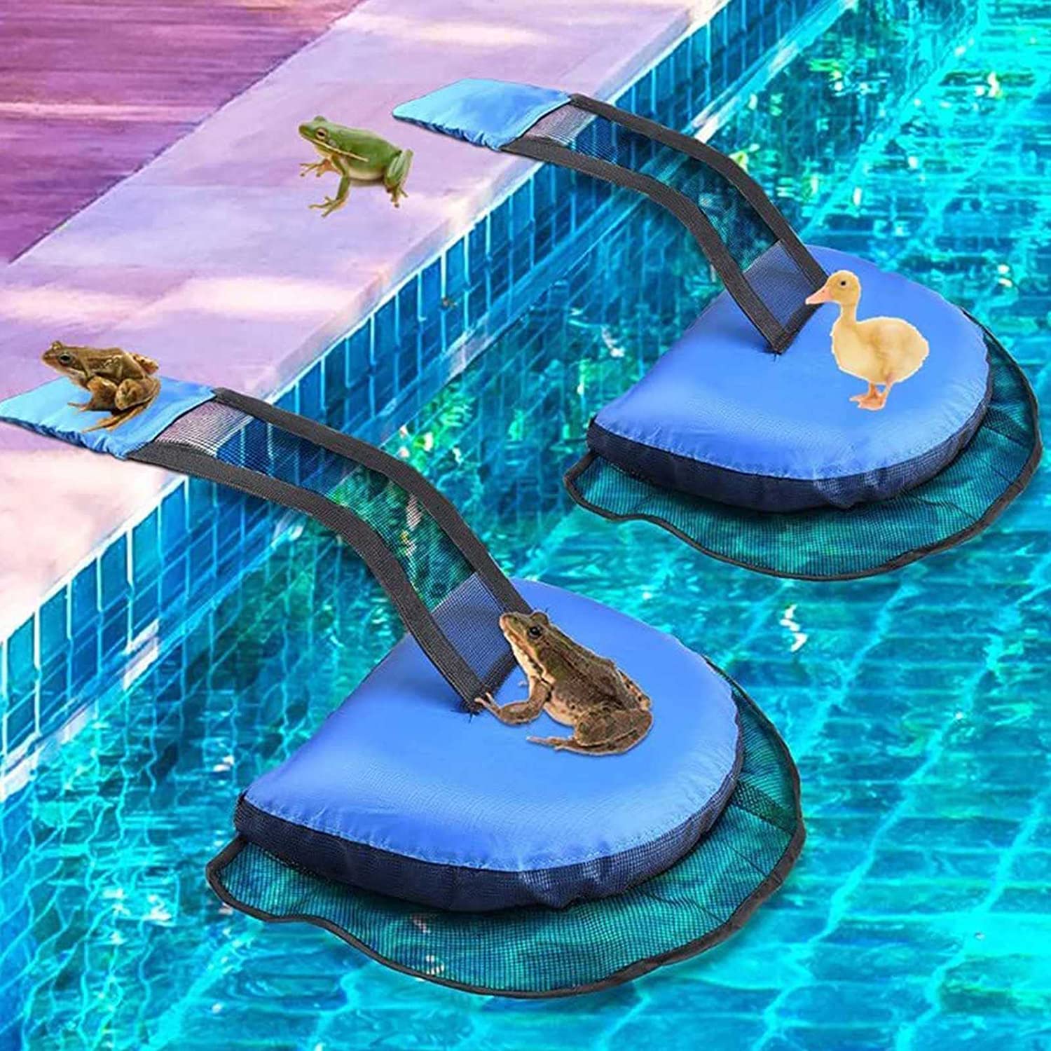 Rampe Animaux Piscine Rampe D'évasion Pour Animaux – Outil De Sauvetage Flottant Rampe Chien Piscine