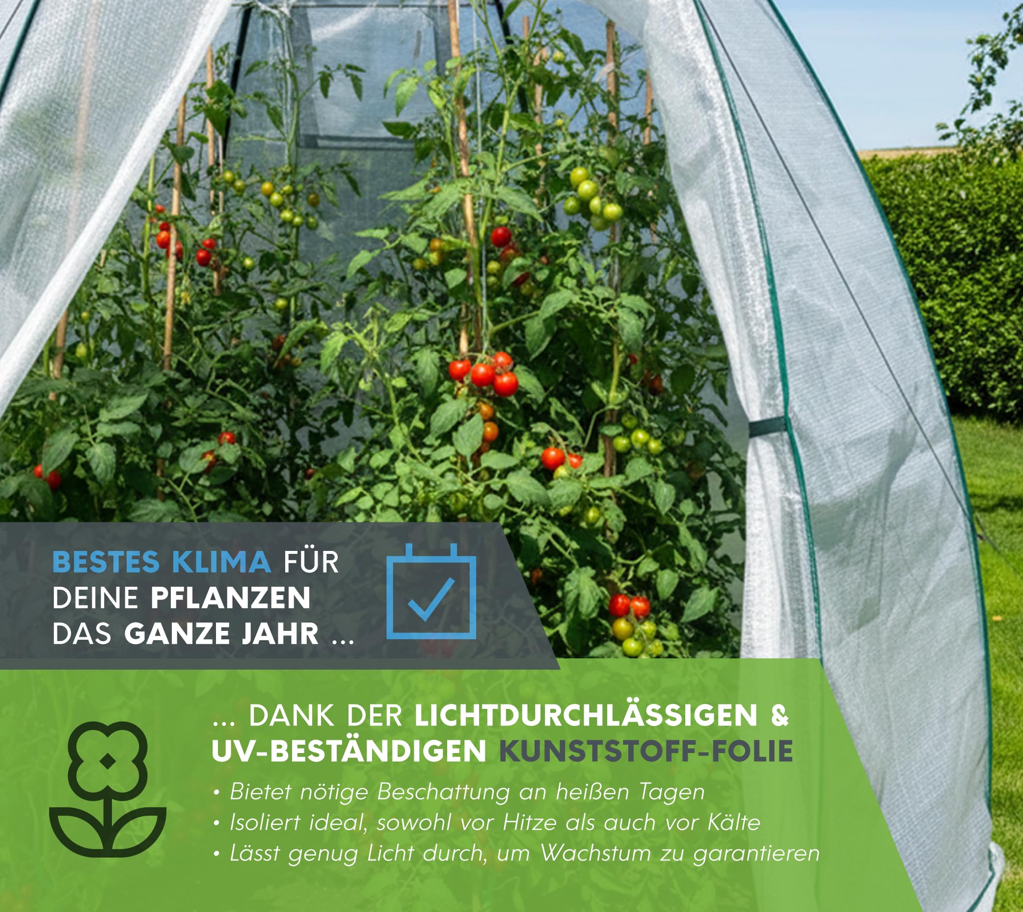 WESTMANN Überwinterungszelt Avocado 250x250x250 cm Pflanzenschutz