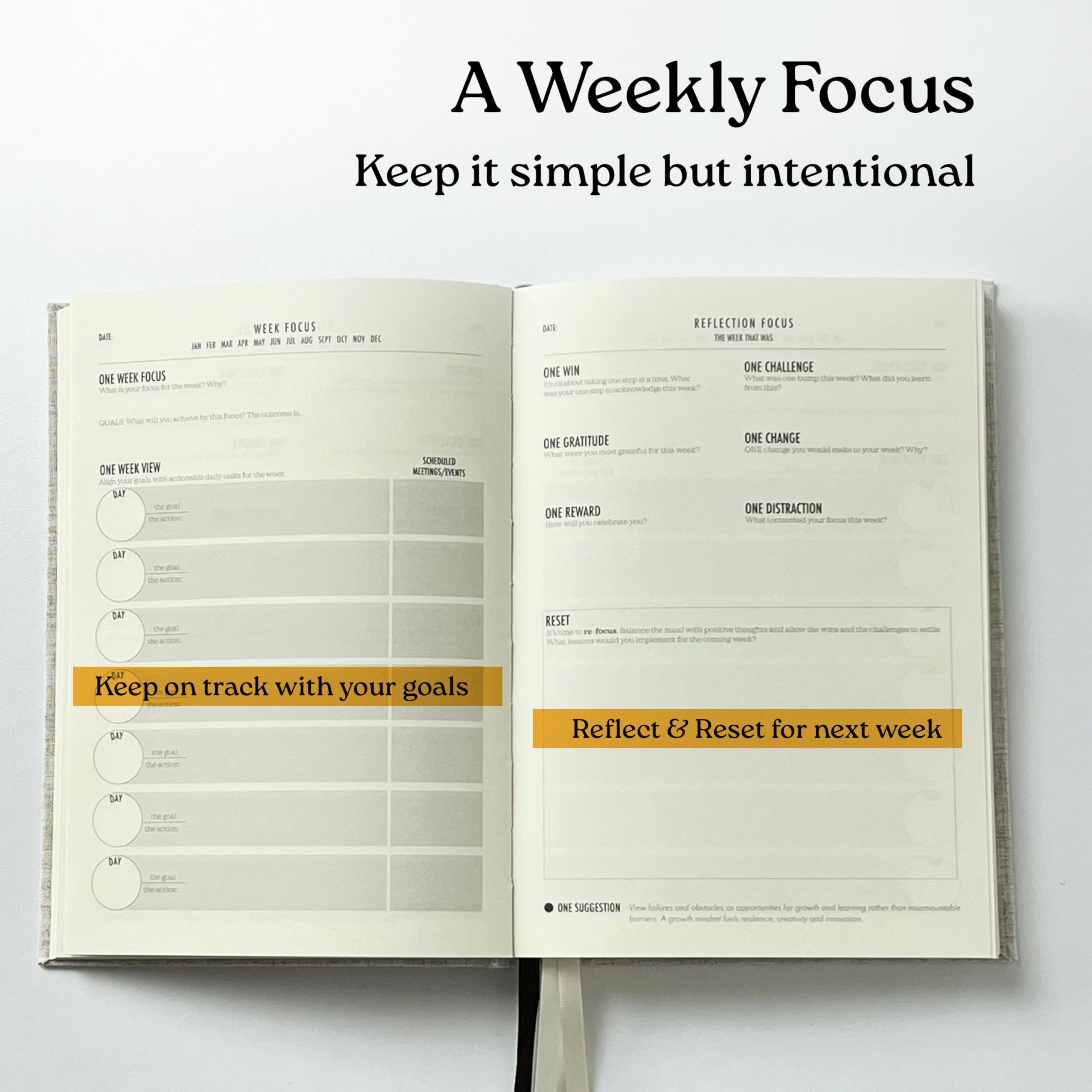 ONE FOCUS Planner: agenda giornaliera senza data di 90 giorni per ADHD e produttività, impostazione degli obiettivi, sollievo dall'ansia, esercizi di consapevolezza e monitoraggio delle abitudini per