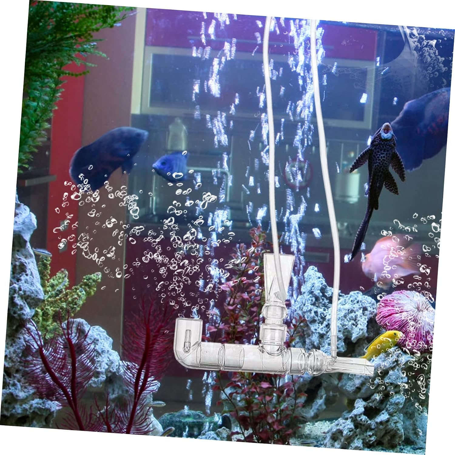 Fish Tank Oxygenation Tube Dual-Outlet Air Pump Accessory Easy to Install Compact for Optimal Aquarium Oxygenation