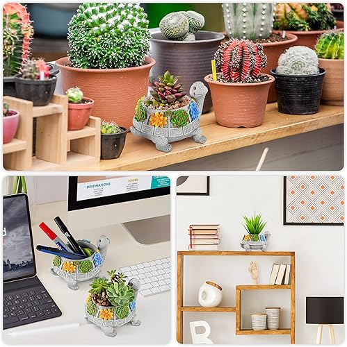 Miniatura 6 de LESES Macetas suculentas de tortuga para plantas de interior con orificio de drenaje, macetas lindas para plantas suculentas, cactus en casa,
