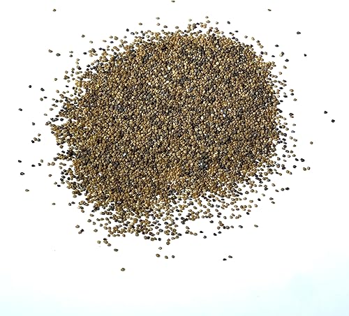 Miniatura 4 de Seed Needs, Antique Shades - Semillas de peonía y amapola  5,000 semillas de reliquia para plantar papaver paeoniflorum  Atrae mariposas y otros