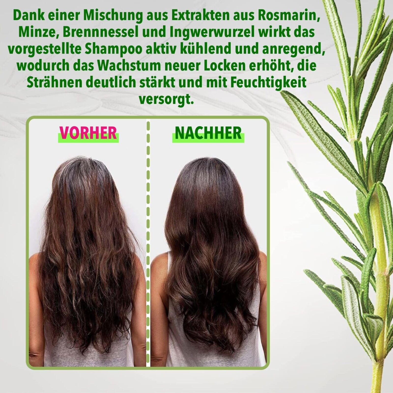 P-Beauty Rosmarin Minze Shampoo, mit Biotin 3x355ml - stärkendes Haarshampoo - Shampoo für Haarwachstumm & Haarausfall - Haarpflege & Kopfhautpflege - Stärkungsshampoo - Schuppenshampoo