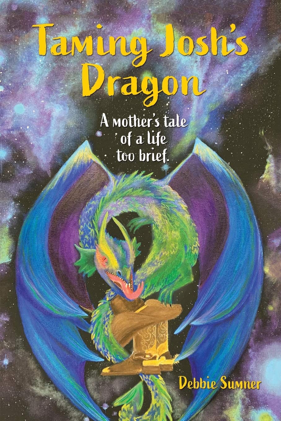 Taming Josh's Dragon: A mother's tale of a life too brief.