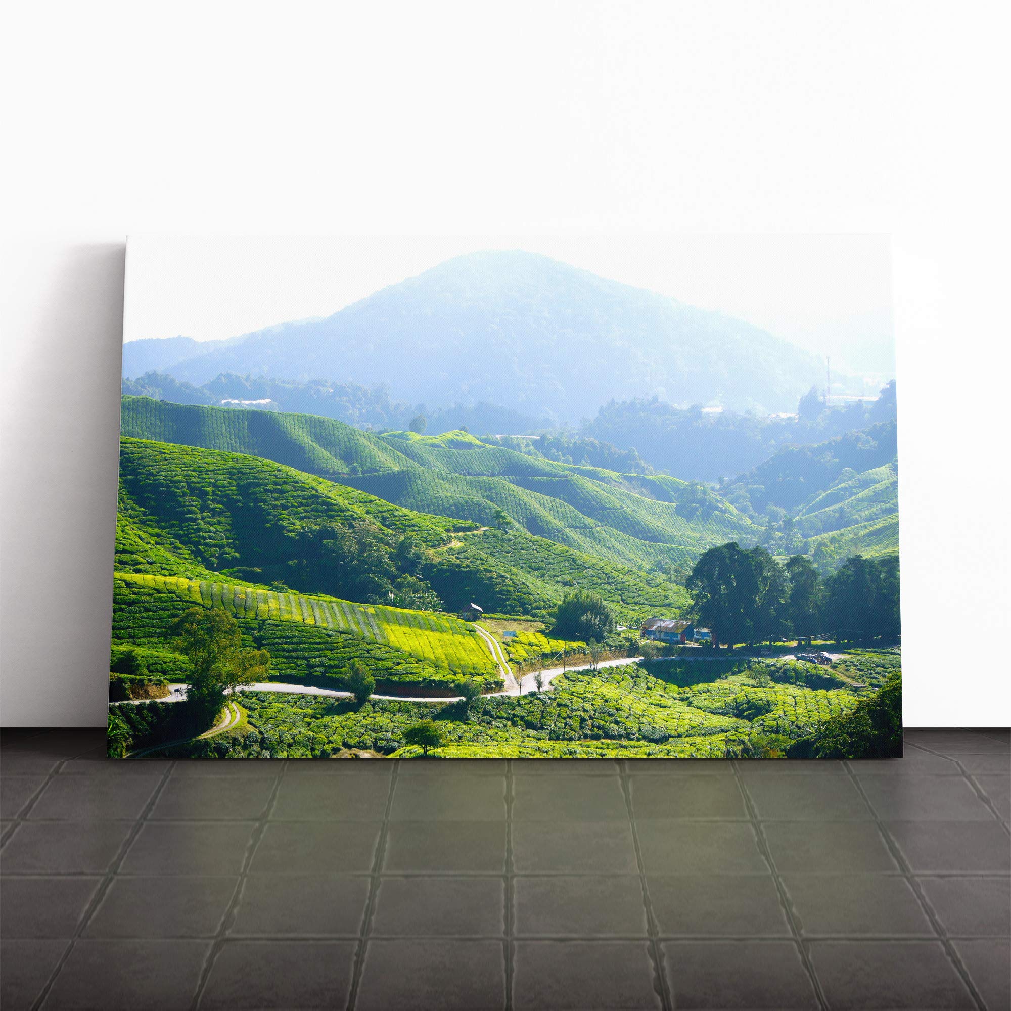 Landscape Tea Plantation Kuala Lumpur Malaysia Canvas Print | Gallery Wrapped 30mm Frame Wall Art | 24x16 inches | Ready to Hang | Modern Landscape Picture | Living Room Bedroom Lounge Office