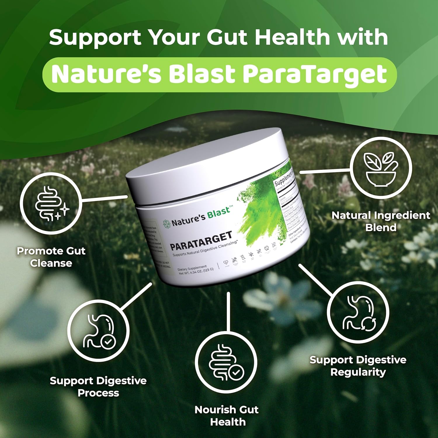 ParaTarget Natural Digestive Cleanse Powder - Advanced Gut Support with Black Walnut Hull, Sweet Wormwood, Papaya Seed & Pineapple - Vegan, Non-GMO - Fruit Flavor, 30 Servings - Image 3