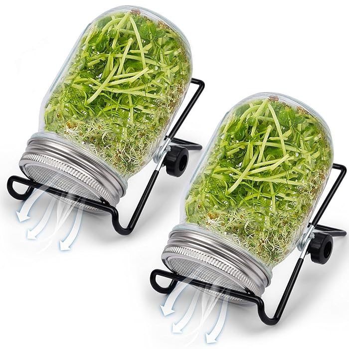 Buy MORDEN MS Sprouting Jars with Screen Lids, Sprouts Growing Kit
