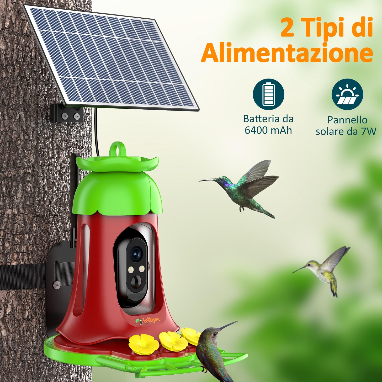 BuTrut 2K Mangiatoia per Uccelli con Telecamera, Mangiatoia Solare Ricaricabile, Telecamera Intelligente per Mangiatoia per Uccelli all'aperto, Regalo Perfetto per gli Amanti degli Uccelli