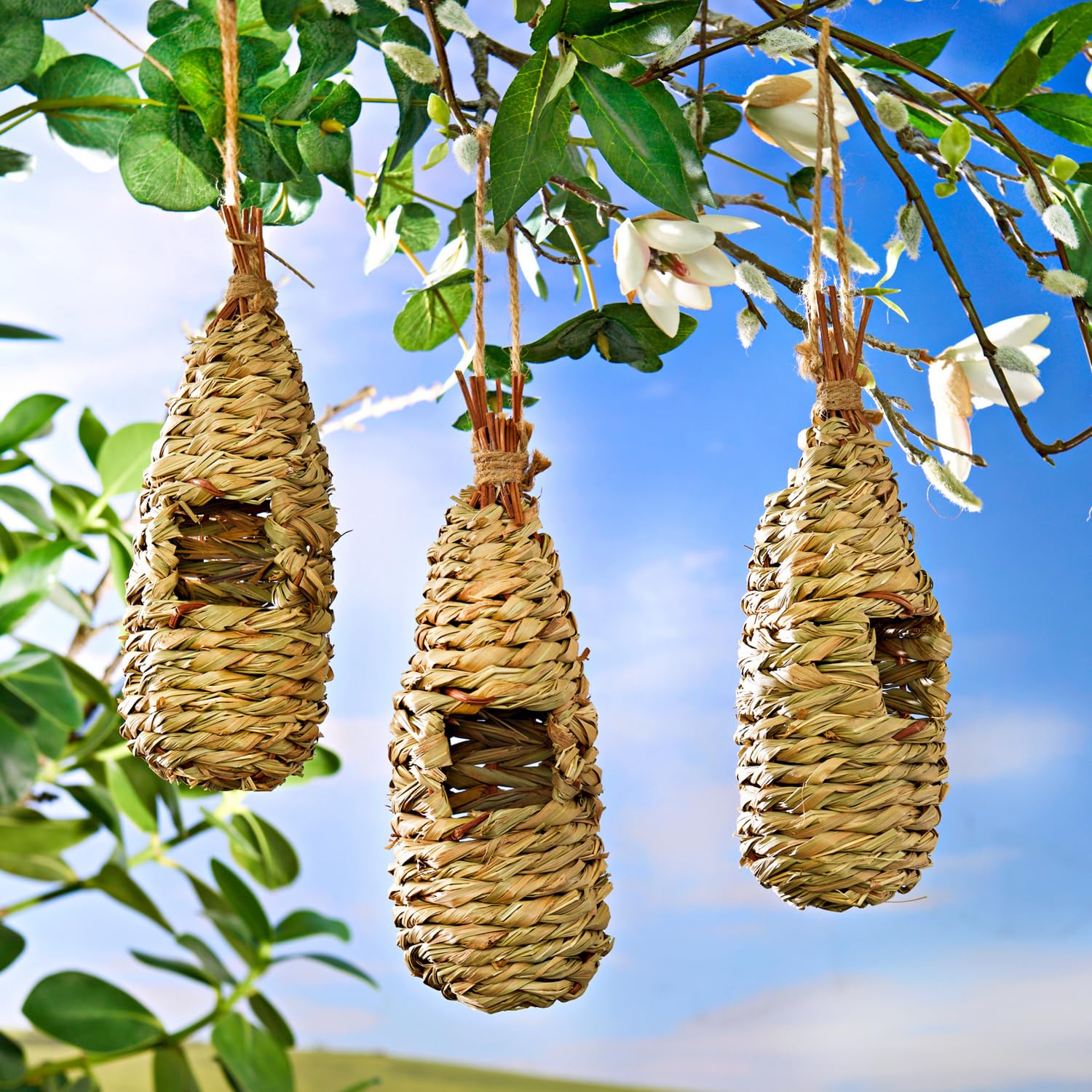3 PAGEN Set 3 Nidi Per Uccelli In Canna Naturale | Rifugio Sicuro Per Uccellini Da Giardino Con Gancio | Antigatto