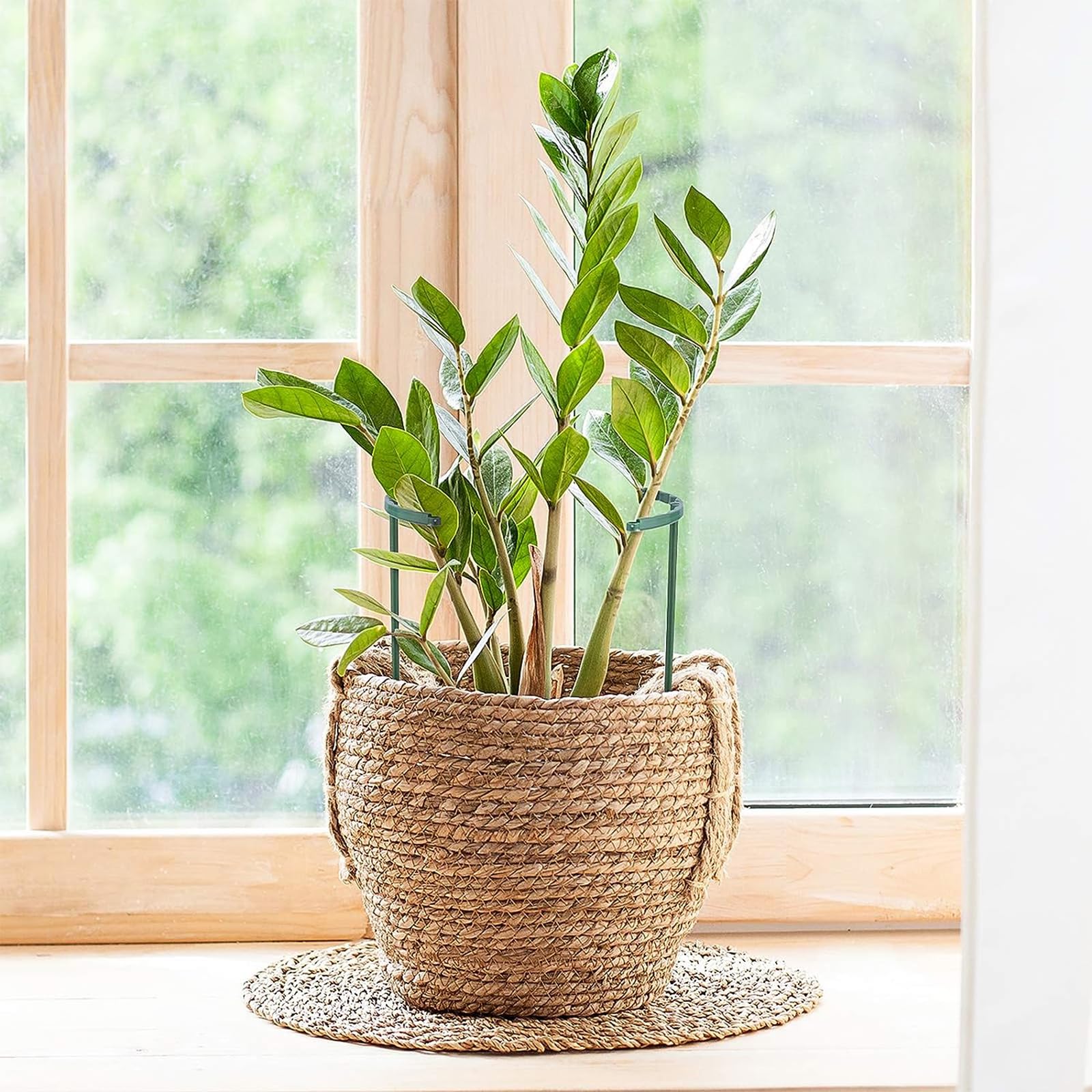 Pack of 16 Plant Supports for Garden, Trellis Indoor Plants, Flower Support, with Plant Ties, Free Splicing, for Potted Plants, Shrub Holder, Small, Tomatoes, Rose (8 Pieces 25 cm + 8 Pieces 15 cm - Image 4