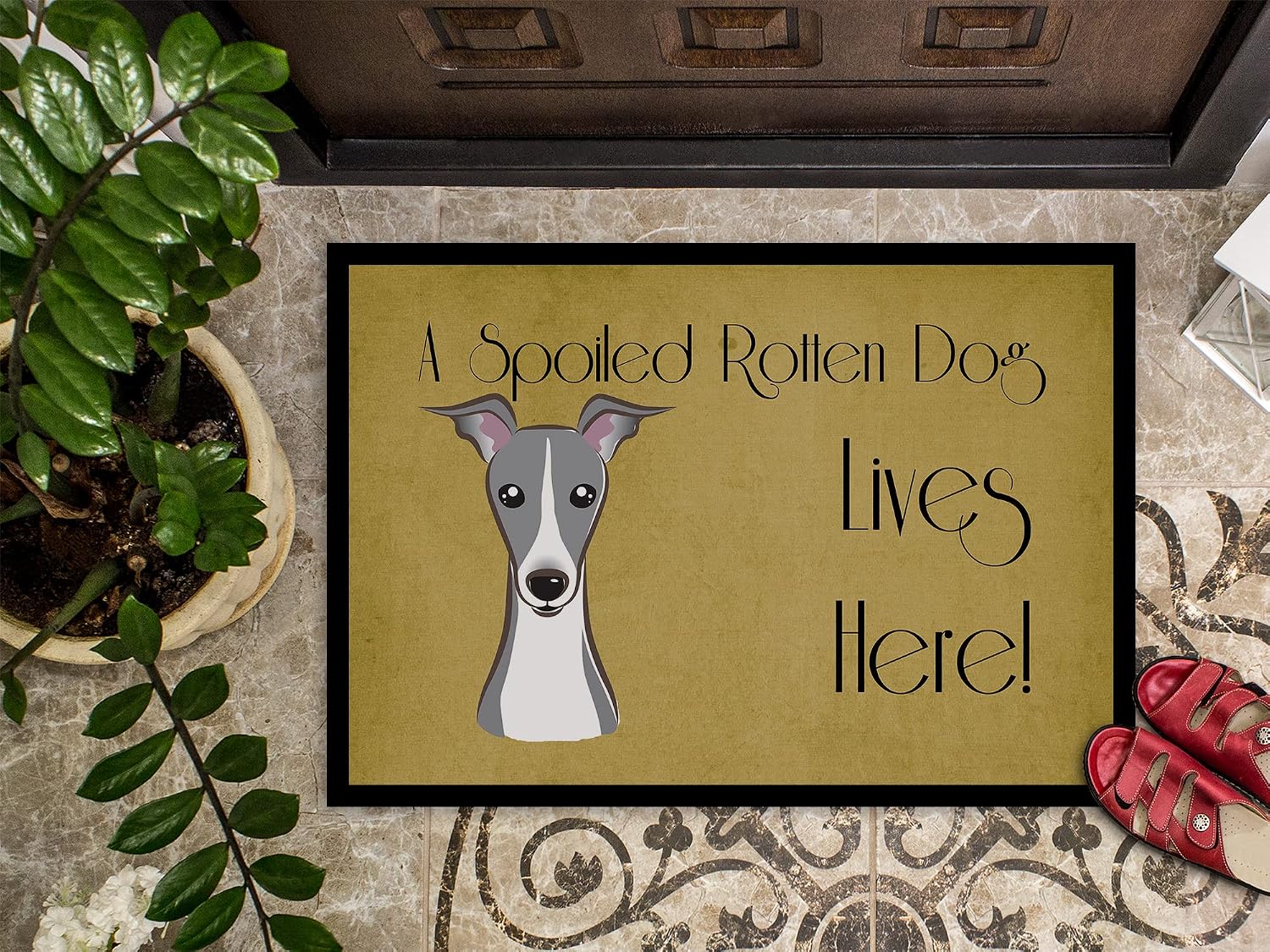 Caroline's Treasures BB1484MAT Italian Greyhound Spoiled Dog Lives Here Doormat 18x27 Front Door Mat Indoor Outdoor Rugs for Entryway, Non Slip Washable Low Pile, 18H X 27W