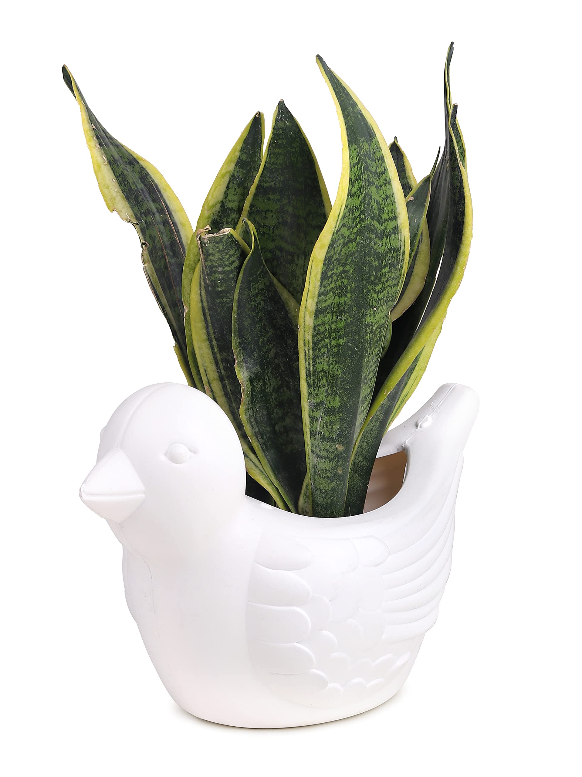 GTB Bird Shape Pot Pot for Home Decor/Decoration White Color (B0C5J6H6ZC) Amazon Price History, Amazon Price Tracker