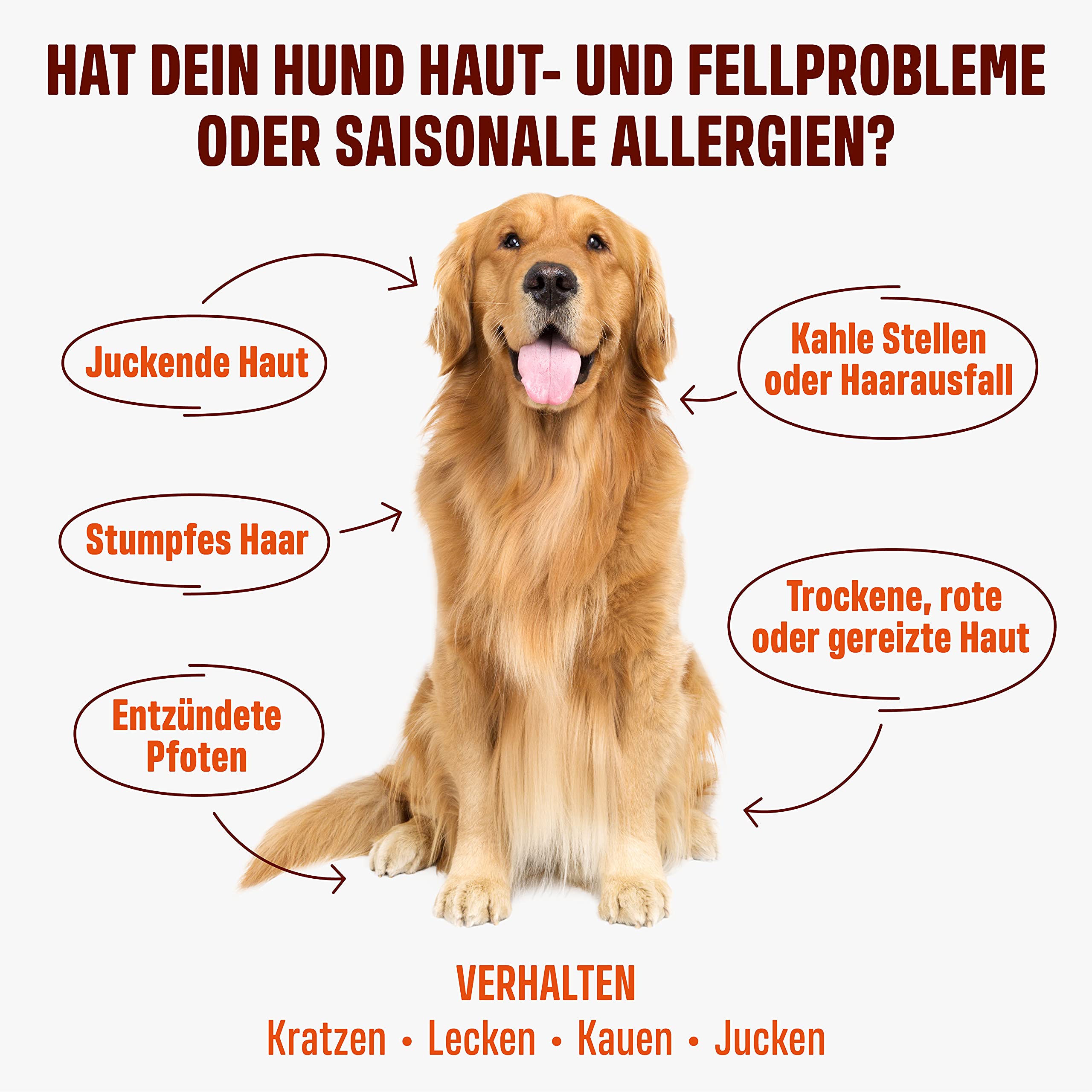 ivvi Skin & Coat Omega 3 für Hunde gegen Juckreiz im Leckerliformat, für gesunde Haut & glänzendes Fell – mit Biotin, DHAgold, Zink, Vitamin C, Lachsöl - 60 leckere Snacks (270g) mit Lachs