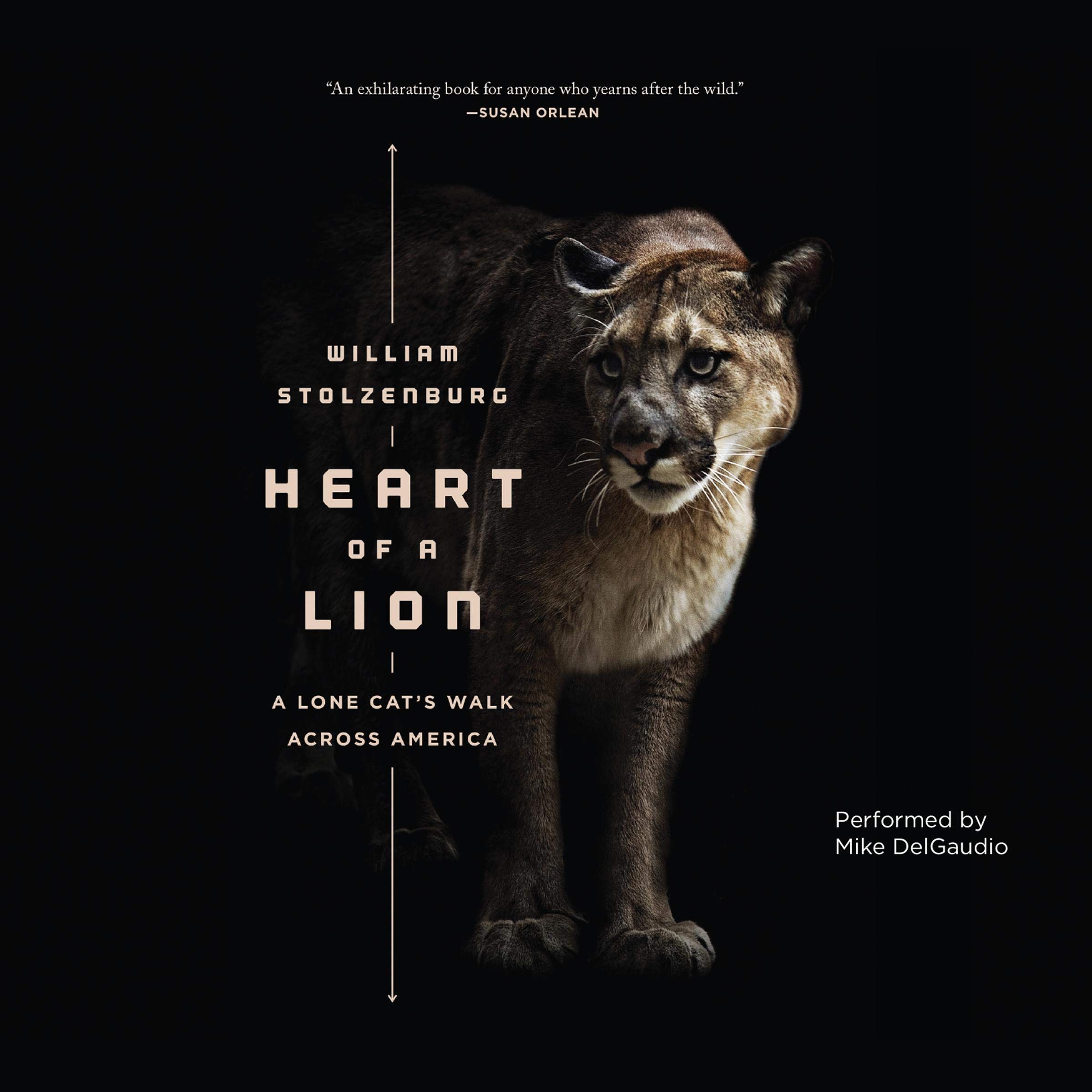 Cover art for Heart of a Lion