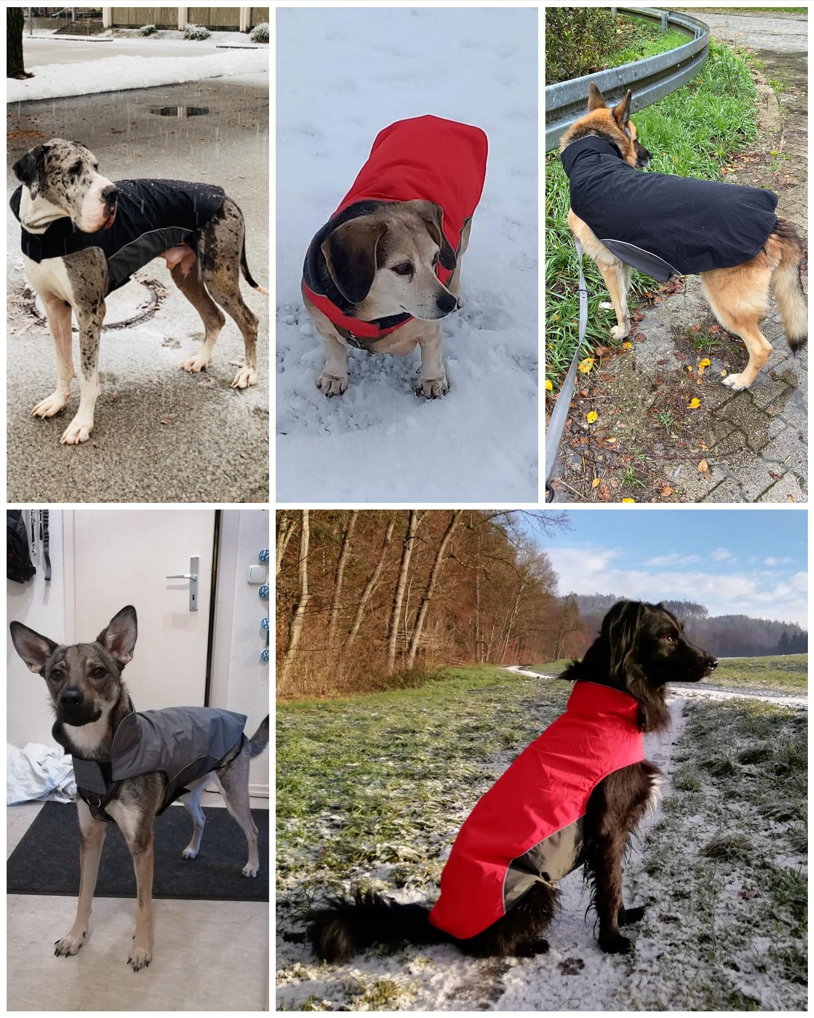 Cappotto Invernale per Cani Grandi Giubbotto Impermeabile Foderato in Pile con Apertura per guinzaglio (4XL Nero)