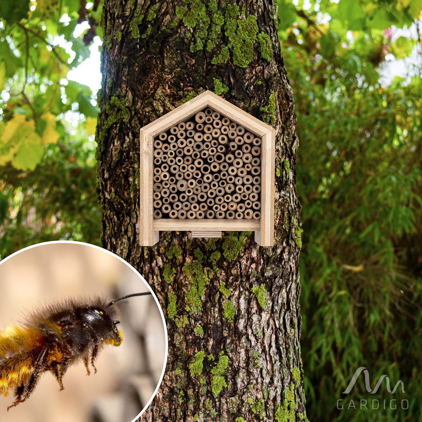 GARDIGO® Tierhaus System: Bienenhaus I Bienenhotel aus Massivholz I Made in Germany I Wildbienen Nisthilfe I Insektenhotel Nistkasten mit Bambusrohr I Wildbienenhotel mit Bambus als Füllmaterial