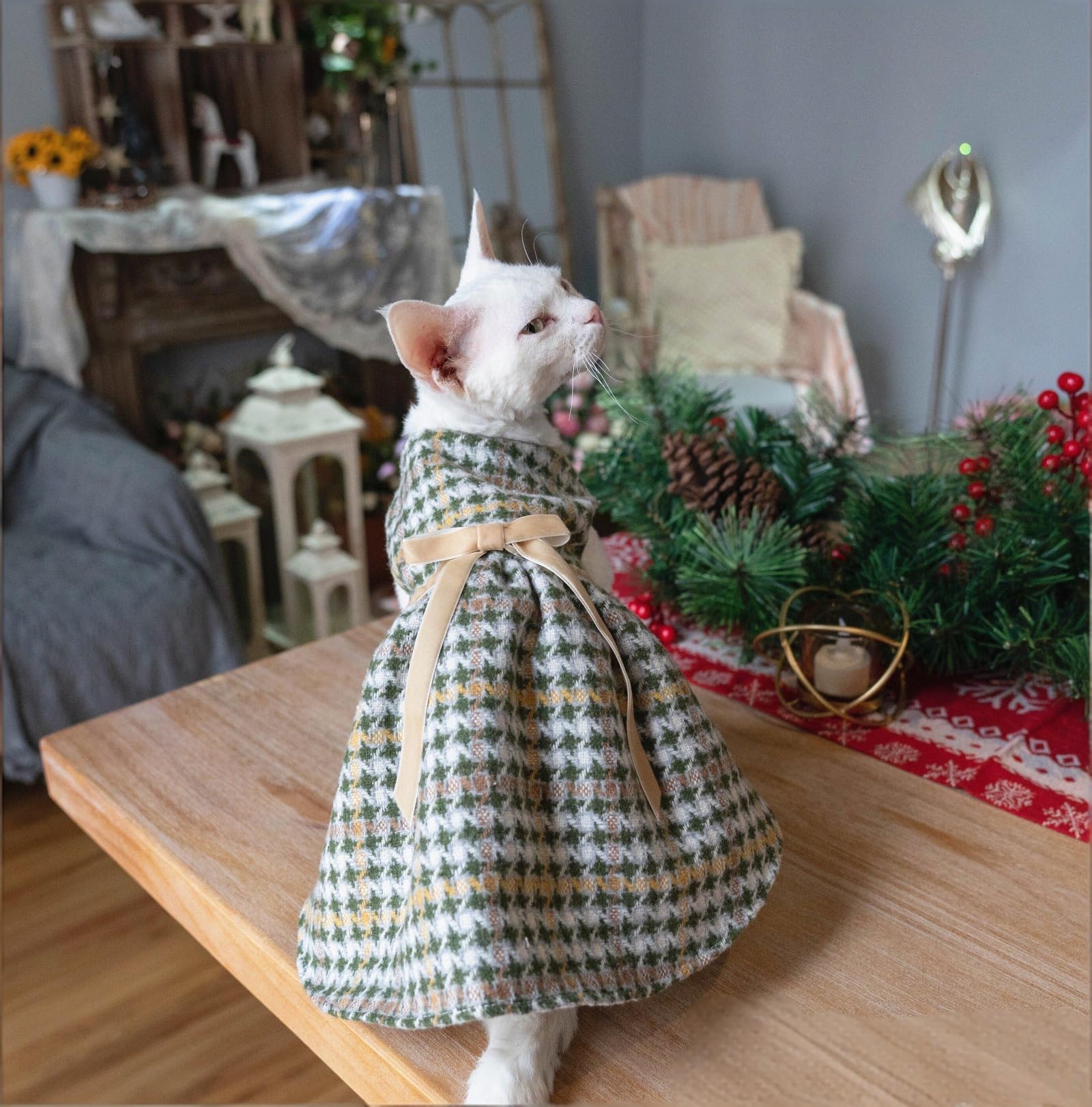 OMEM Vestido de gato de pata de gallo con lazo, ropa de gato con forro de algodón suave para gatos sin pelo Sphynx, elegante traje de invierno para gatos pequeños a grandes, M a XXXL (XL+)