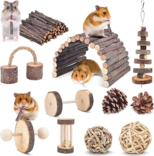ERKOON 11 Pack Chinchillas Chew Toys, Toys Accessories for Teeth Care, Natural Apple Wood Ladder Bell Roller for Russian Hamster Gerbils Rats Guinea Pigs (11PCS)