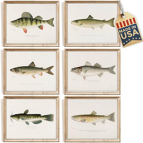 DREAM BIG PRINTABLES Vintage Fish Species Art Prints (Set of