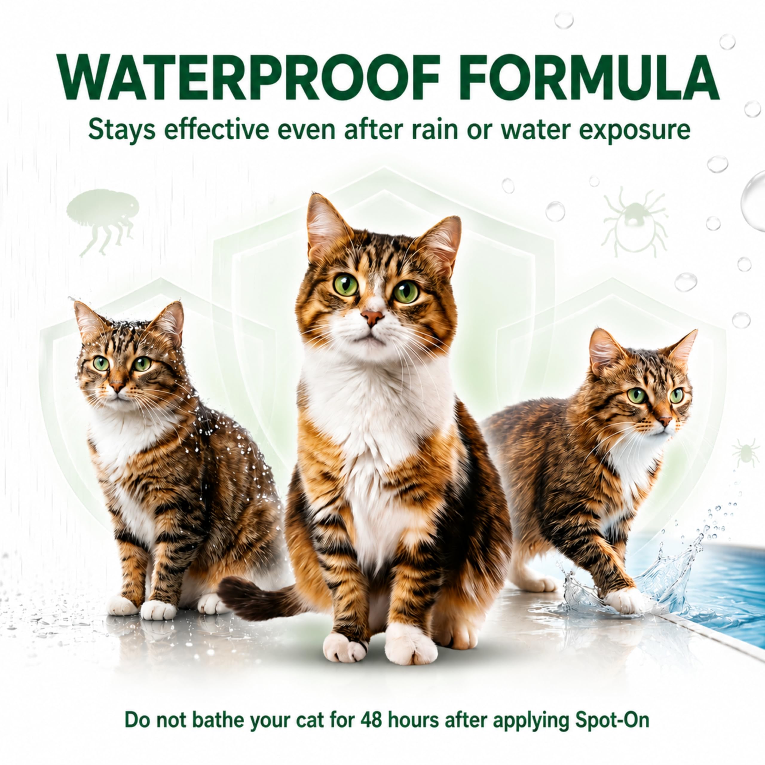 Richpet KittyMec Selamectin 6% Spot-On for Cats & Kittens | Advanced Flea & Tick Protection, (2 Month Supply) 2