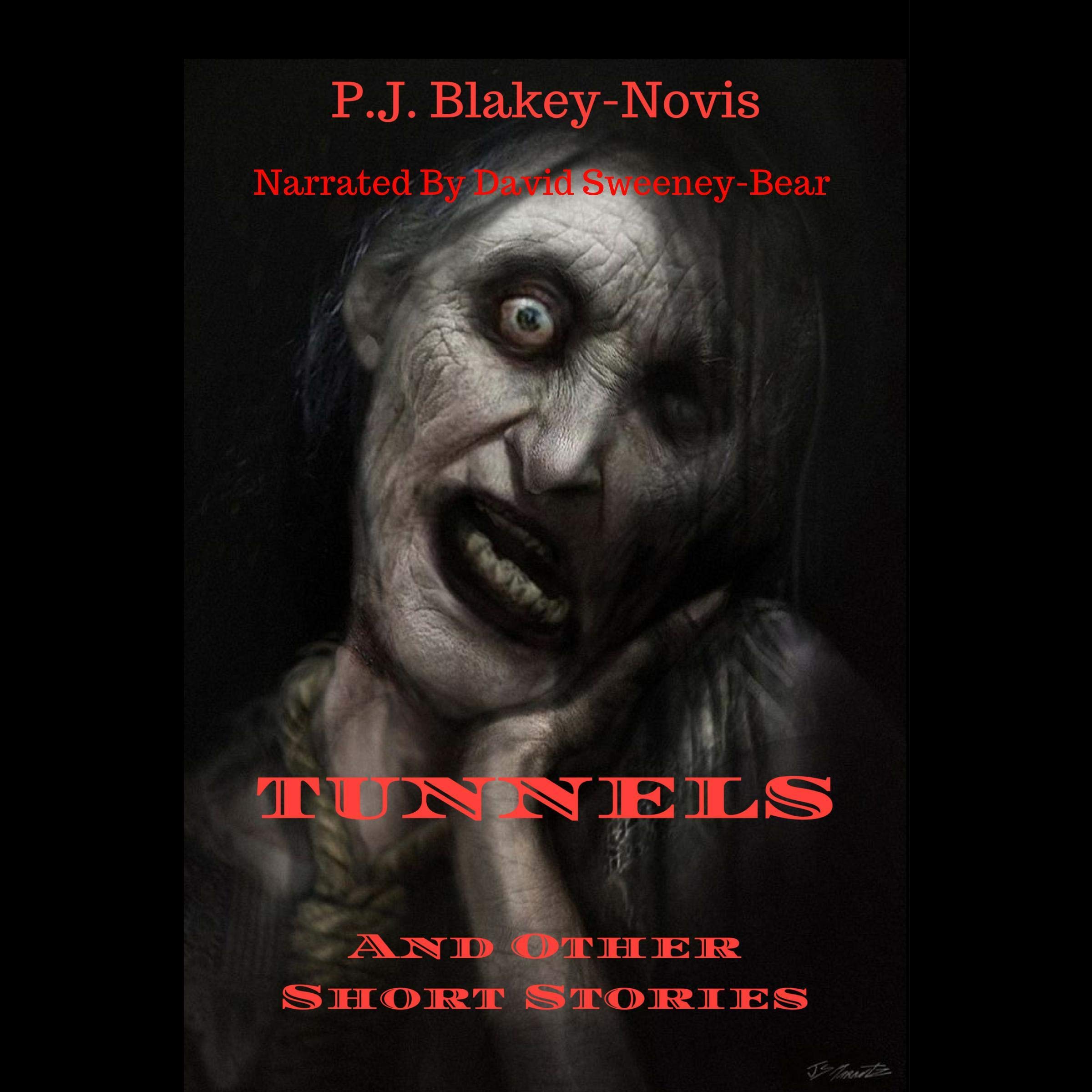 Tunnels and Other Short Stories