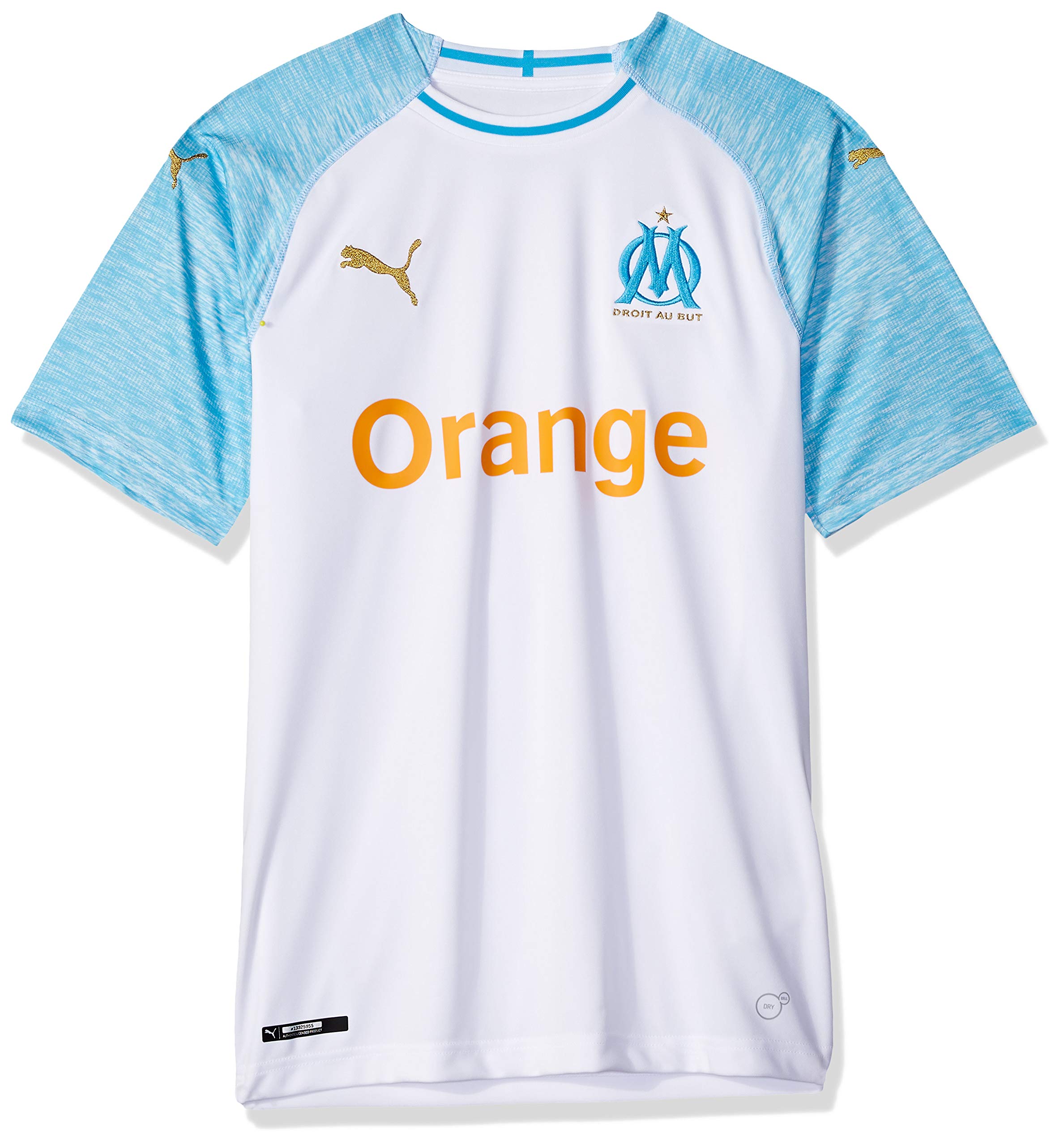 PUMA Men's Fif Ivory Coast Replica Jersey