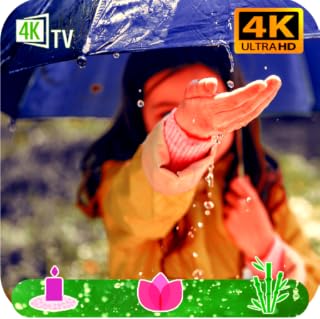 Rain sounds ☔ :Relaxing Nature Rain sleep and meditation Study, Relax, Reduce Stress No Ads