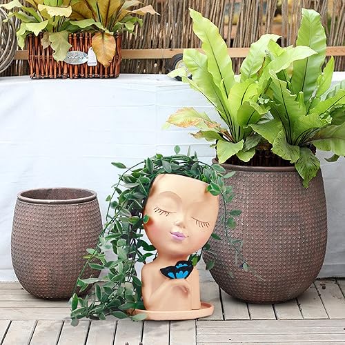 Miniatura 7 de WEWEOW Maceta de cara para plantas de interior y exterior, de resina, con agujero de drenaje, bonitas macetas de cara de dama