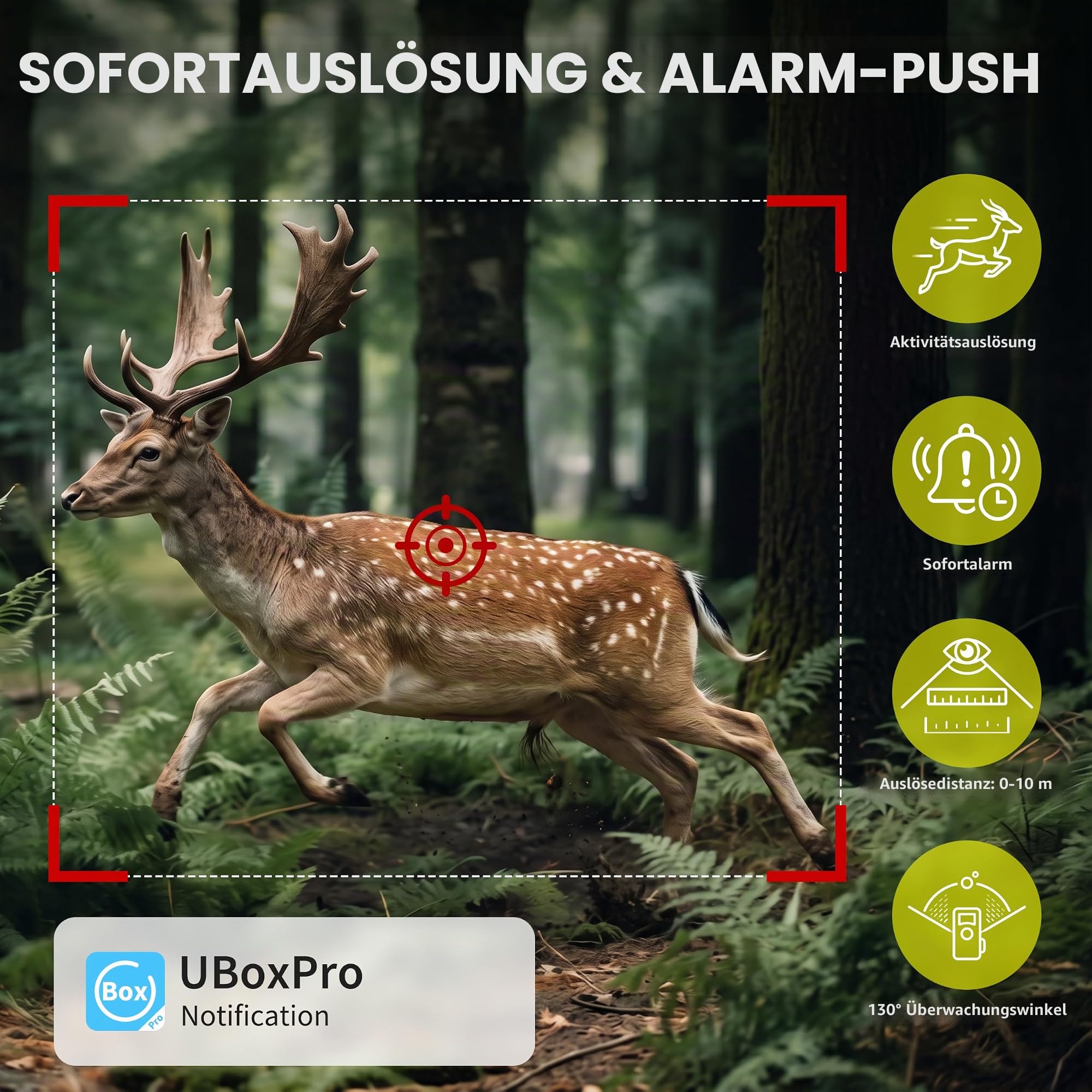 Lemnoi 4G Solar Wildkamera mit Dual-Objektiv, 2K HD, Objektverfolgung, IP66