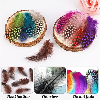 Amazon | SHUUL 天然 羽根 ガチョウ ホロホロ鳥 羽 フェザー 鳥の羽根 Amazon | SHUUL 天然 羽根 ガチョウ ホロホロ鳥 羽 フェザー 鳥の羽根