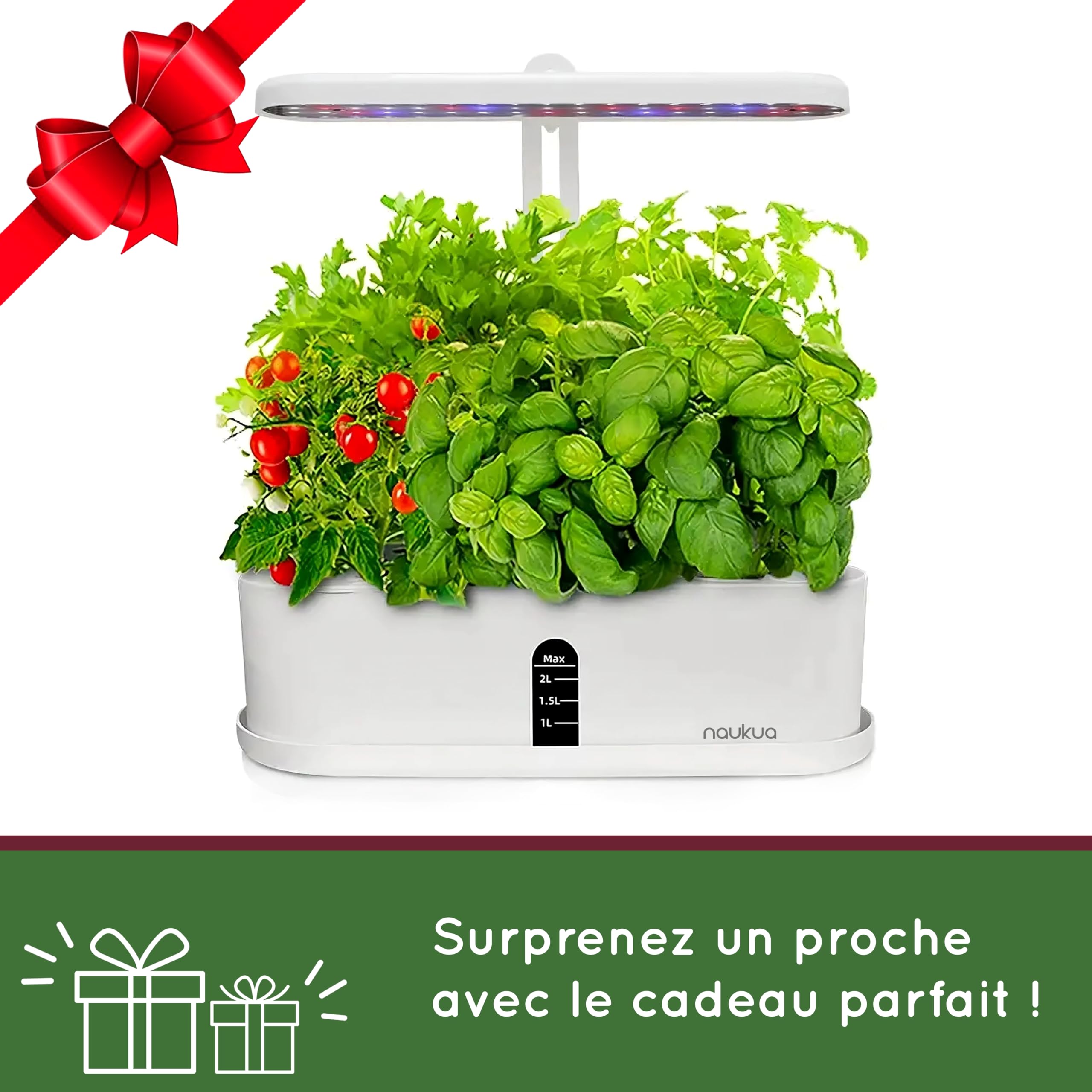 Hydroponic Indoor Vegetable Garden Smart Garden Grow Set with LED Lighting, Automatic Timer and Water Pump, Capacity for 10 Simultaneous Shoots
