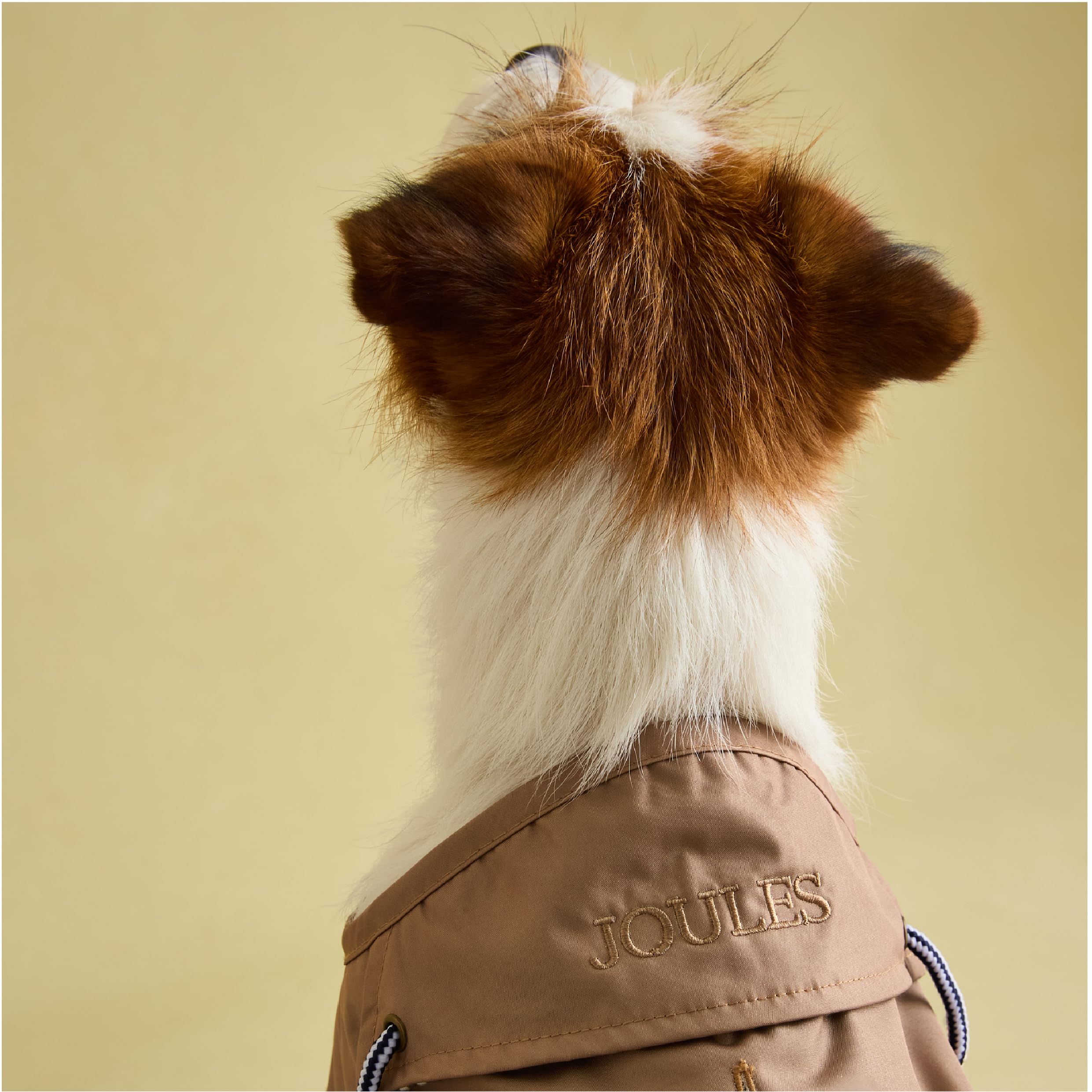 Rosewood X Joules Burra Imperméable pour Petit Chien Lavable Léger Imperméable Marron Taille S